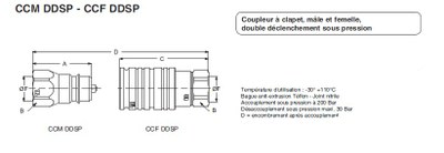 CCM DDSP-CCF DDSP